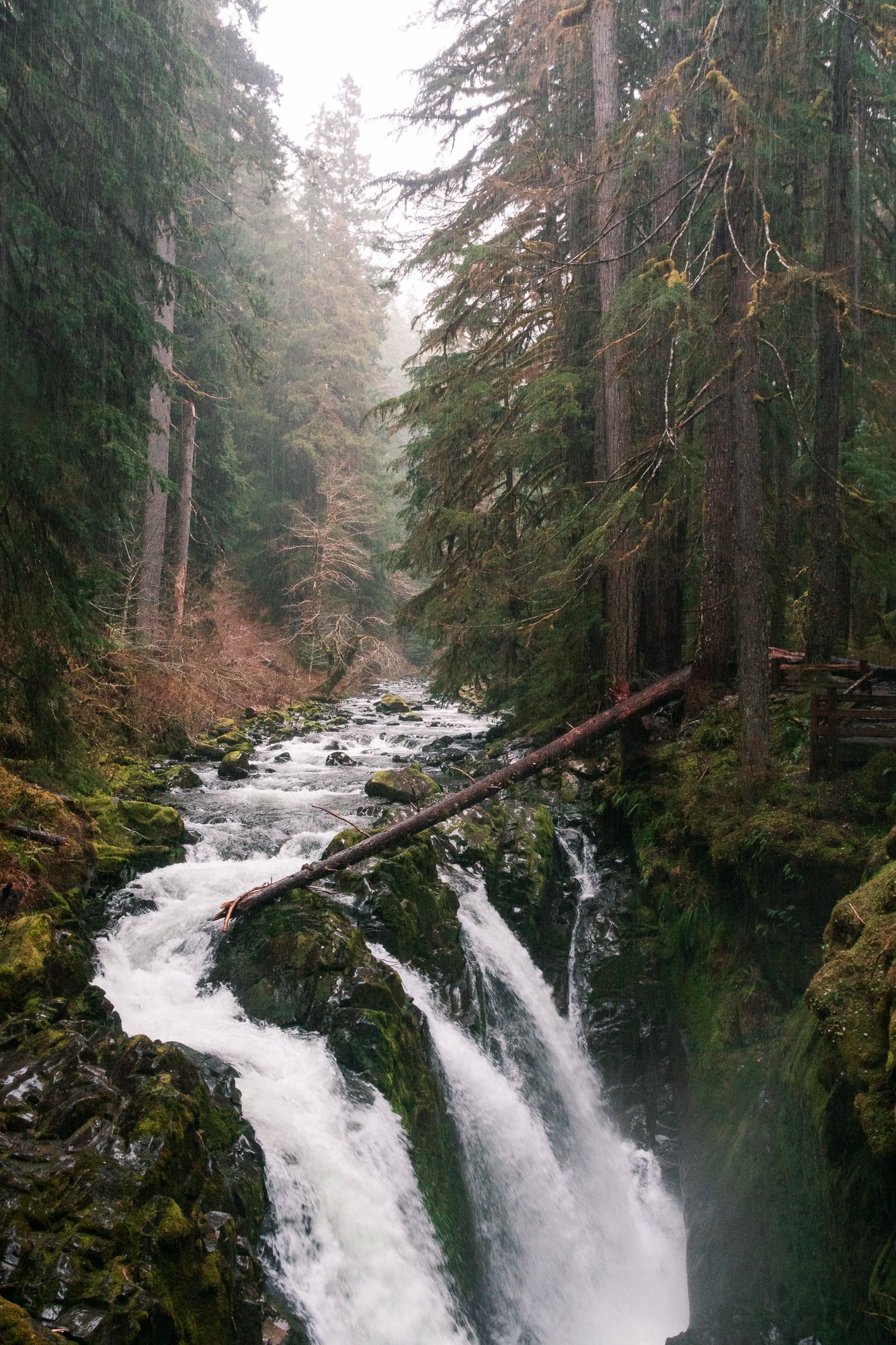 Sol Duc Falls