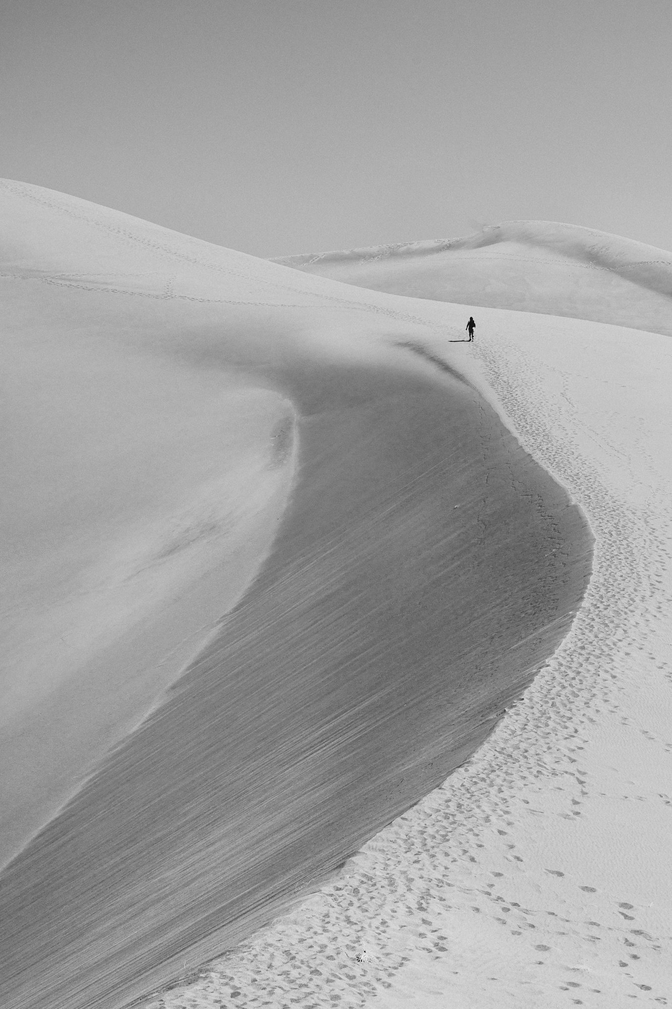 Dune