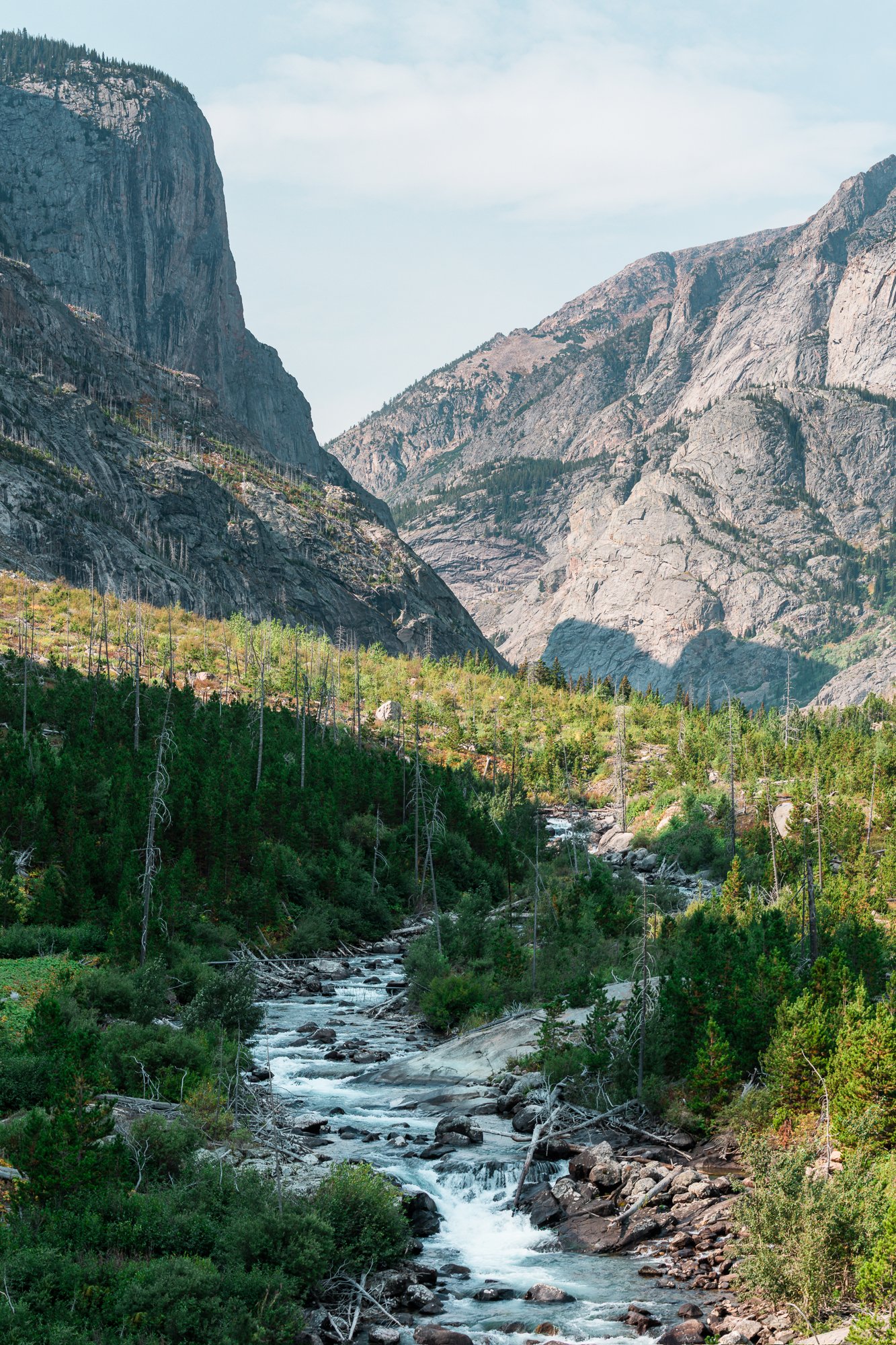 Montana Valley